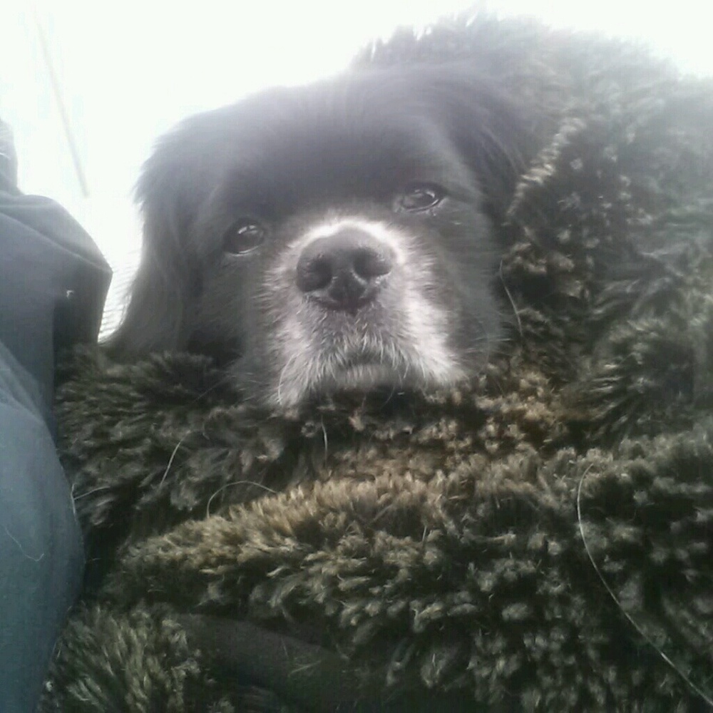 Meet your Posher, Linda